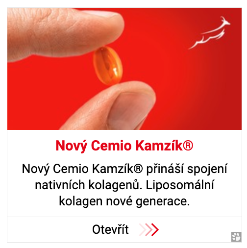 Sklik — kombinovaná nativní reklama 13
